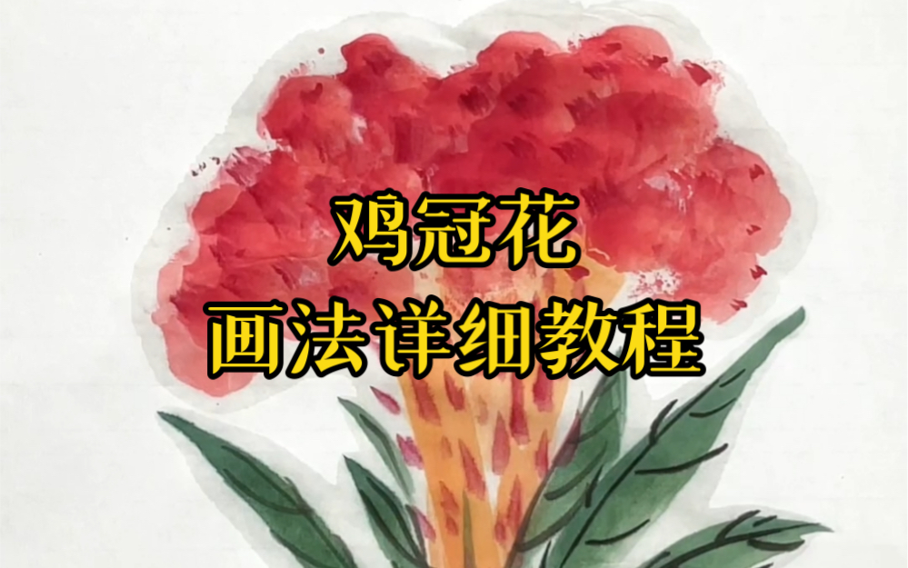 鸡冠花画法详细教程哔哩哔哩bilibili