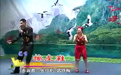 二人转开心说唱《浪女擦皮鞋》表演者:武铁梅、张晓利哔哩哔哩bilibili