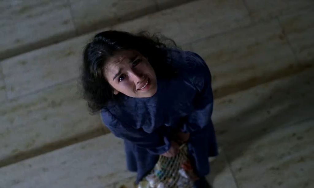 着魔 possession (1981)