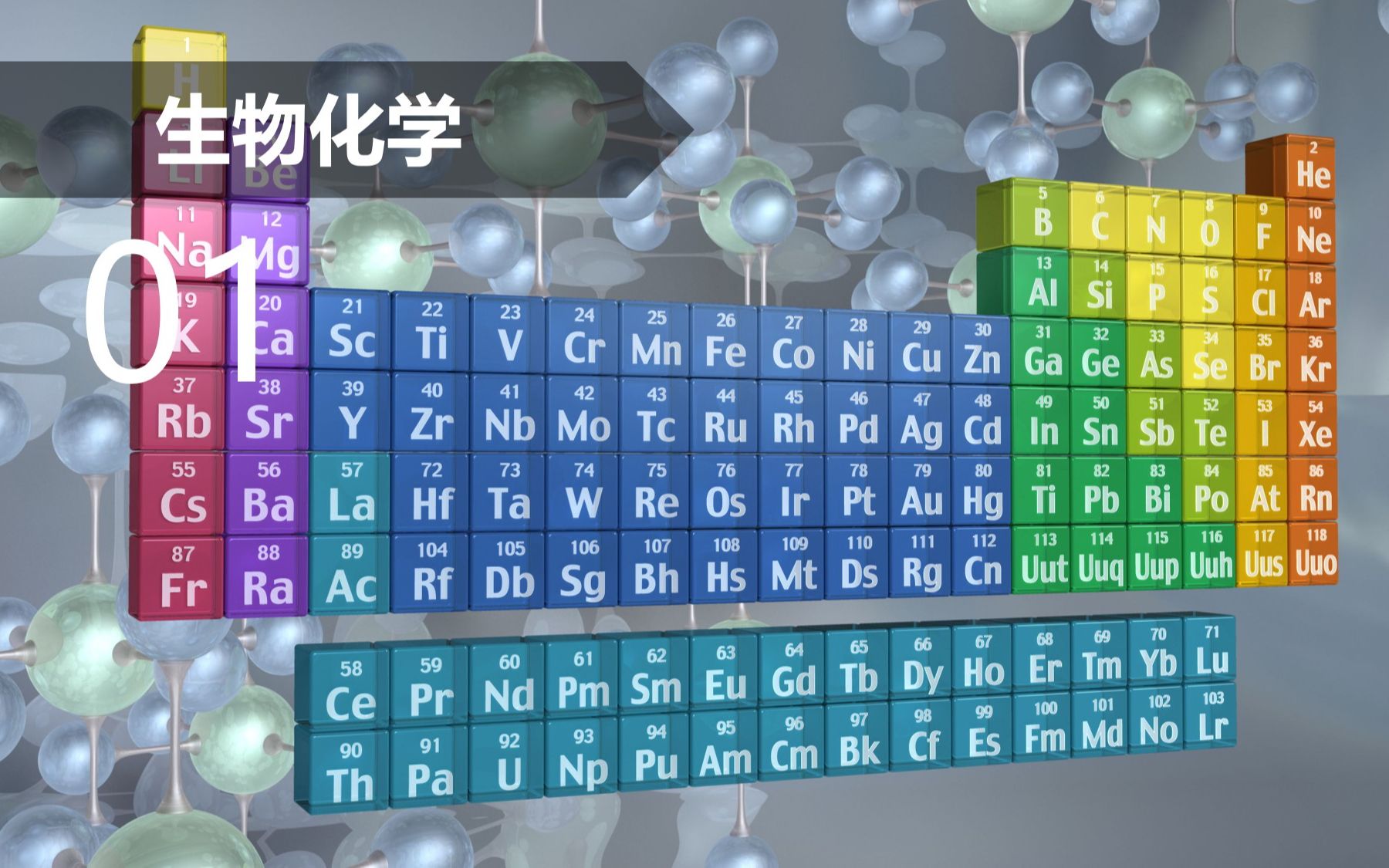 【生物化学】第1讲 生命元素与碳架结构哔哩哔哩bilibili