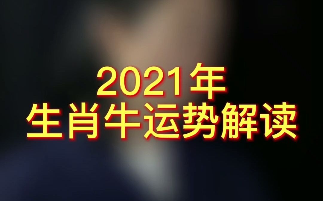 2021年生肖牛运势解读哔哩哔哩bilibili