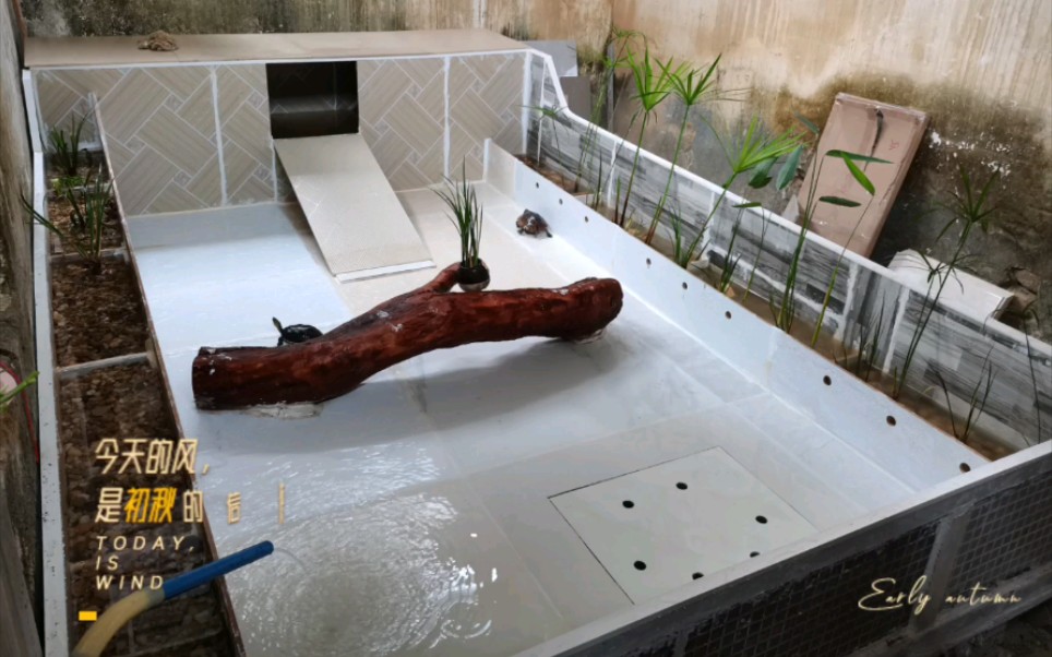 分享一下我的室内龟池