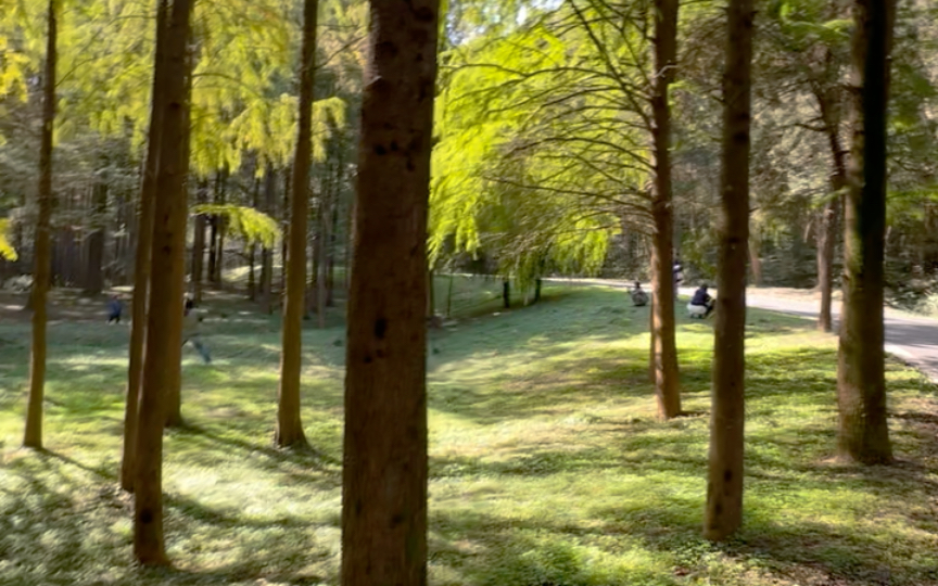 中山植物园(北园)