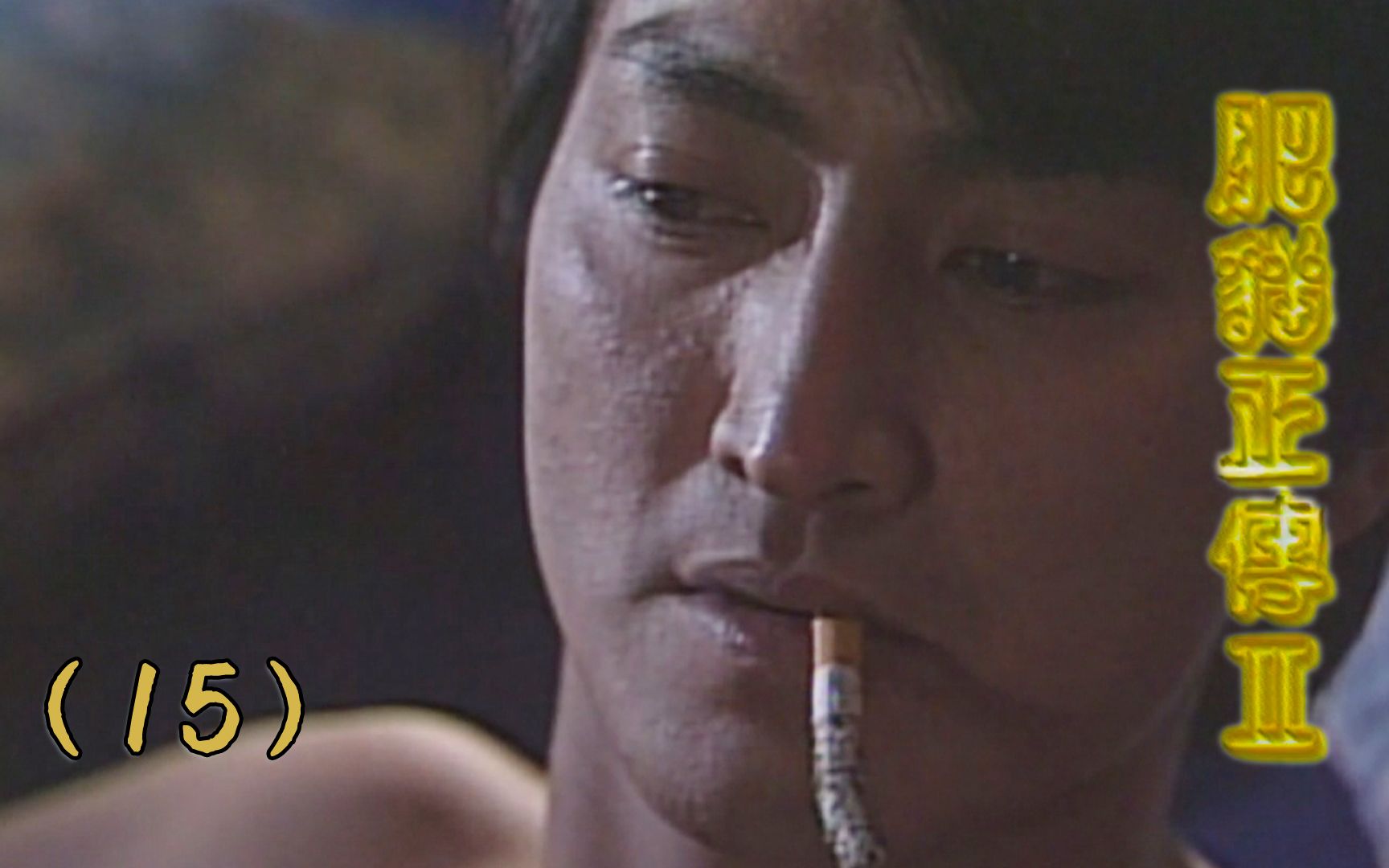 何家劲郑则仕肥猫正传ii15原声客串