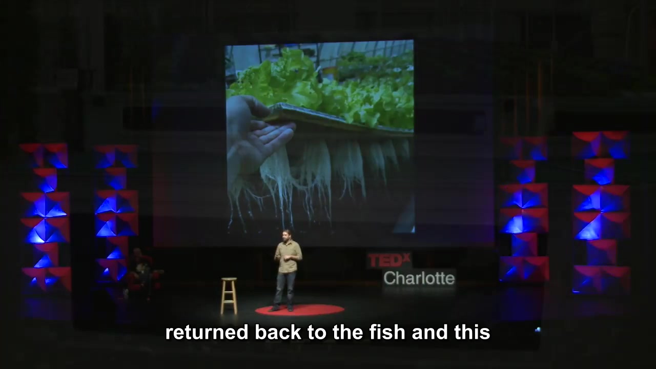 [图][TEDx]（鱼菜共生）水培系统，及其带来的新思路 Aquaponics and a New Way of Thinking