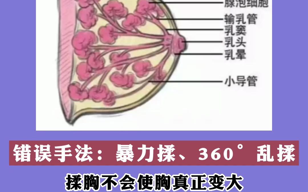 乳房的组织是很脆弱的,千万不要大力揉捏!哔哩哔哩bilibili