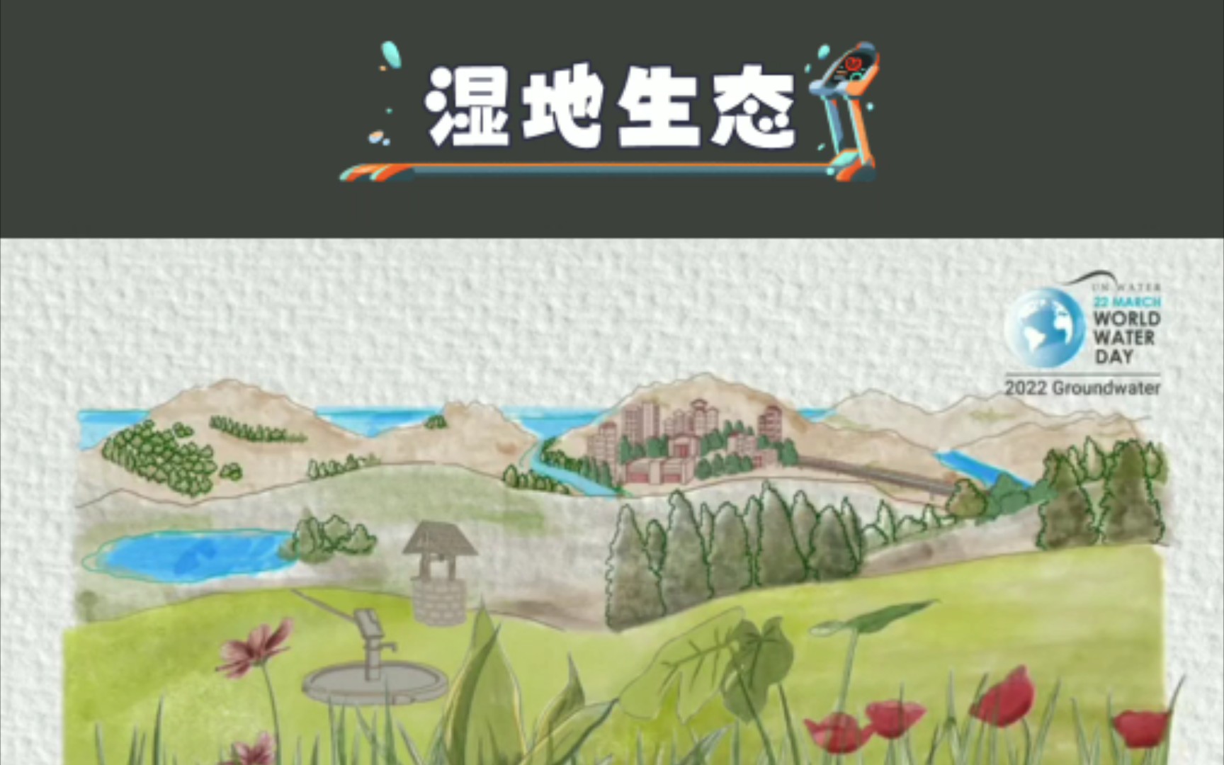 湿地生态系统与生物多样性哔哩哔哩bilibili