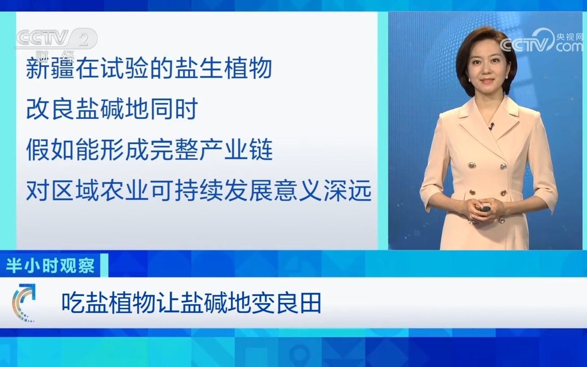 【土 壤】盐地碱蓬产业链助力盐碱地改良哔哩哔哩bilibili