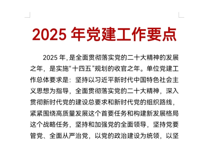 2025年党建工作要点哔哩哔哩bilibili