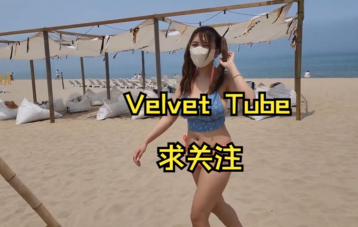 【搬运】Velvet Tube最新Vlog:带你去海边漫步 Part 2哔哩哔哩bilibili