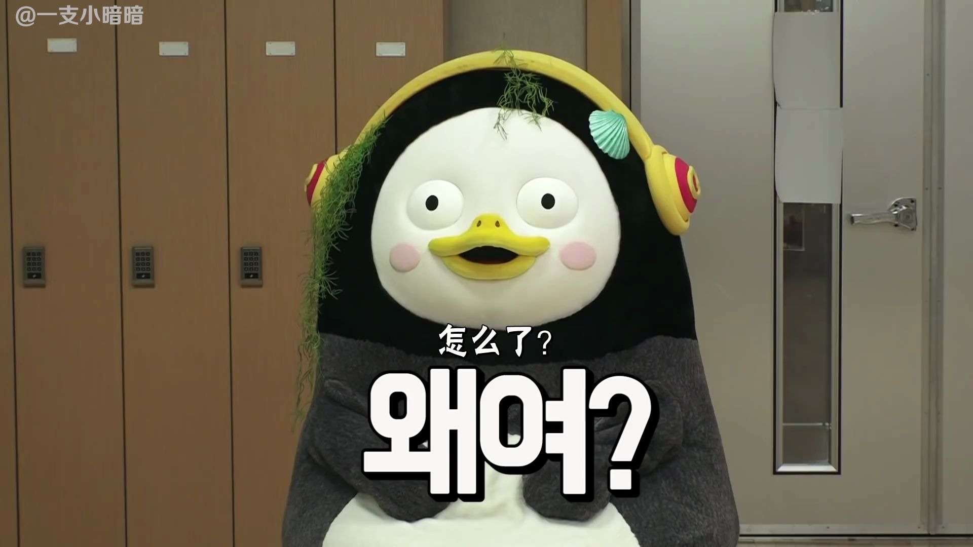 字幕pengsoo选秀视频公开从南极来的企鹅练习生