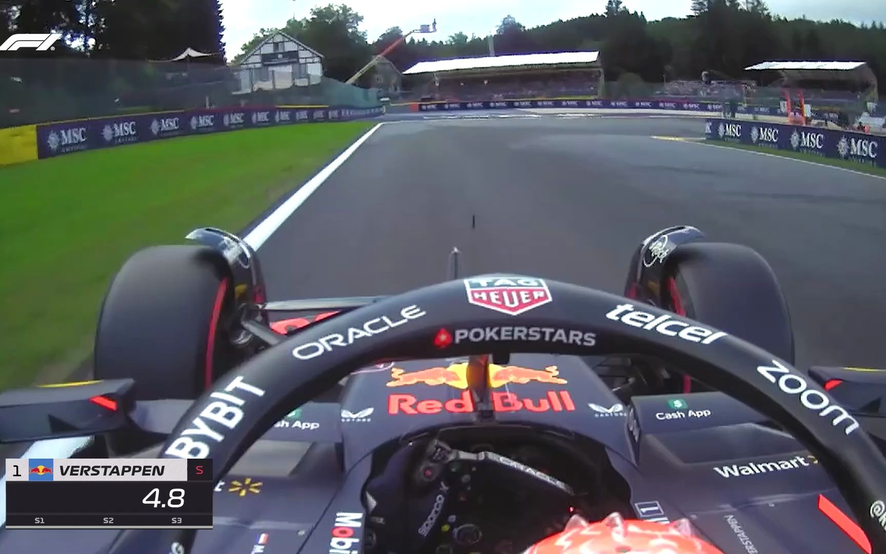 Max Verstappen's Pole Lap | F1 2023 Belgian Grand Prix哔哩哔哩bilibili