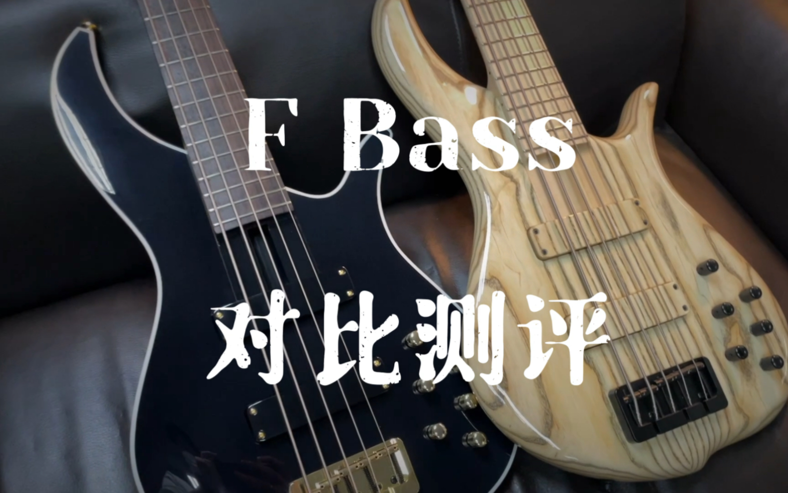 加拿大著名手工贝斯|F Bass 对比测评.哔哩哔哩bilibili