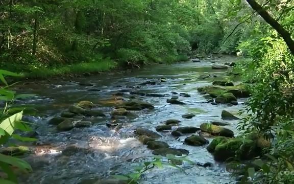 [图]苍苍竹林寺，杳杳钟声晚；荷笠带斜阳，青山独归远。#唐加文#