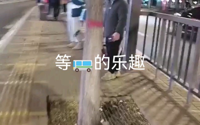 [图]等公交车的乐趣