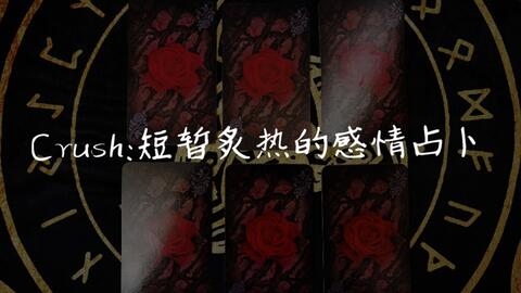 Crush 短暂炙热的感情占卜 哔哩哔哩