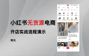 Tải video: 单店月入2万，小红书无货源电商实战全流程演示项目拆解