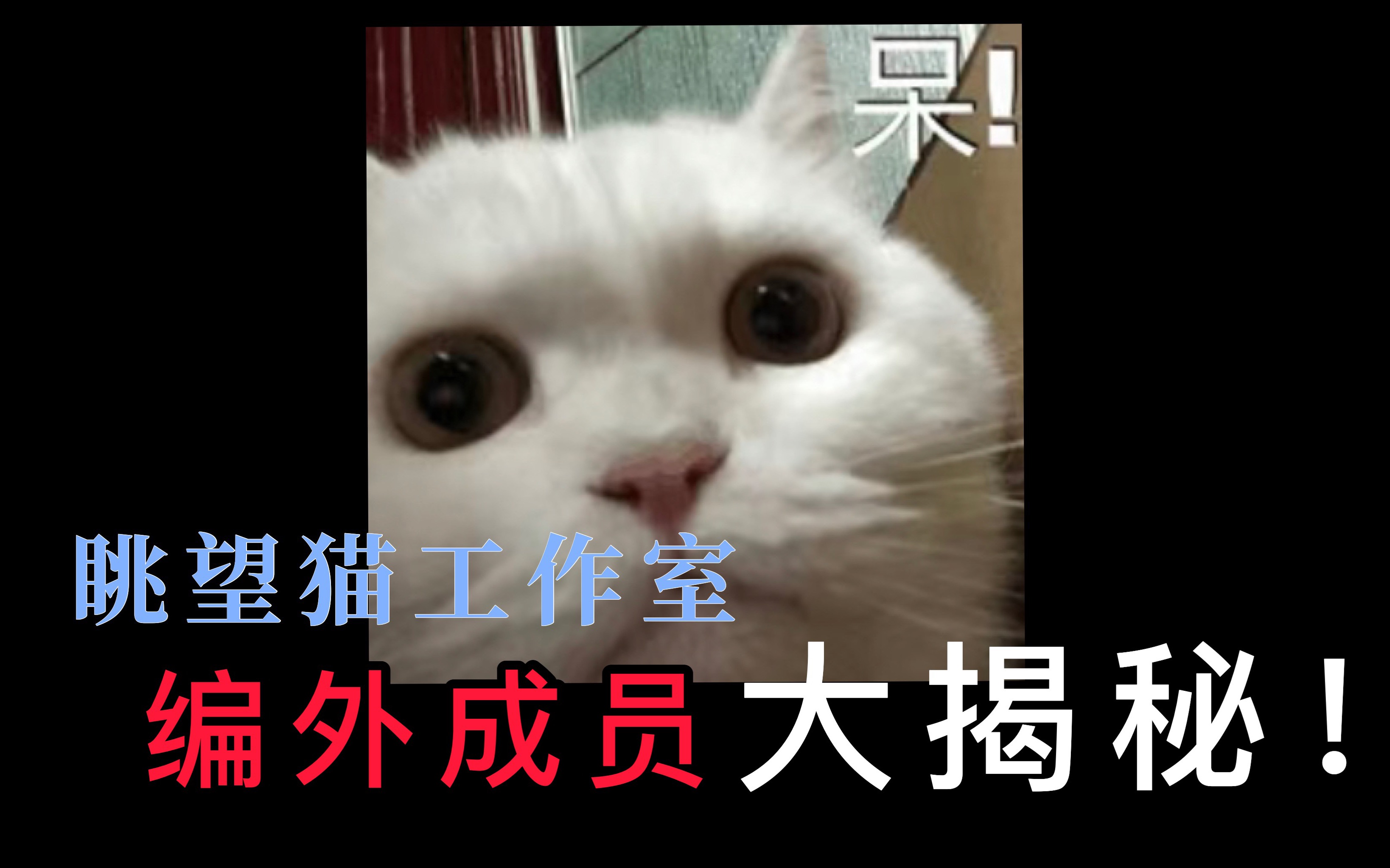 「眺望猫工作室」什么?!工作室未曾公开成员大揭秘!!哔哩哔哩bilibili