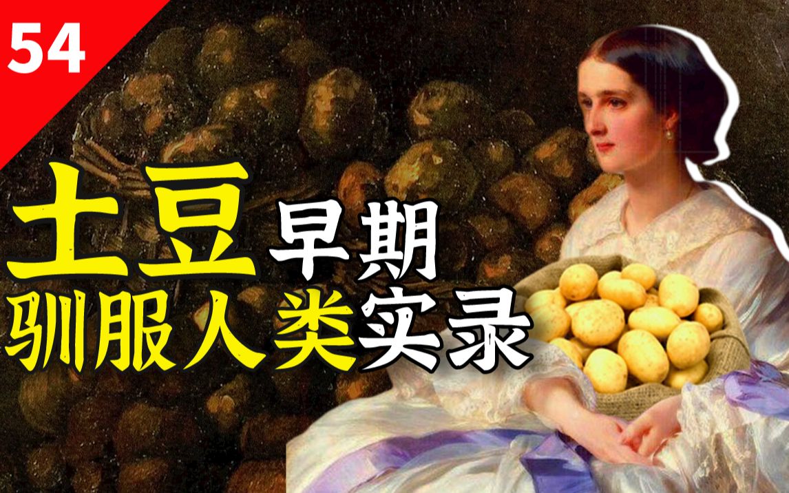 [图]从猪食到你家餐桌，土豆如何征服人类？【闲木鱼】