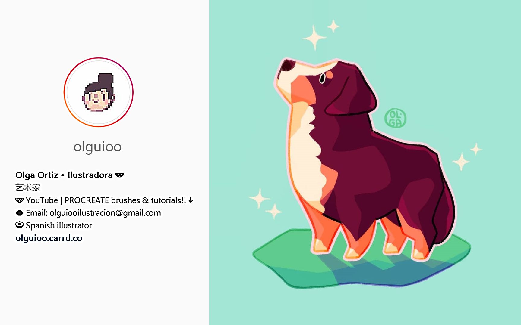 【procreate儿童插画/商业插画教程】olguioo-圣伯纳犬