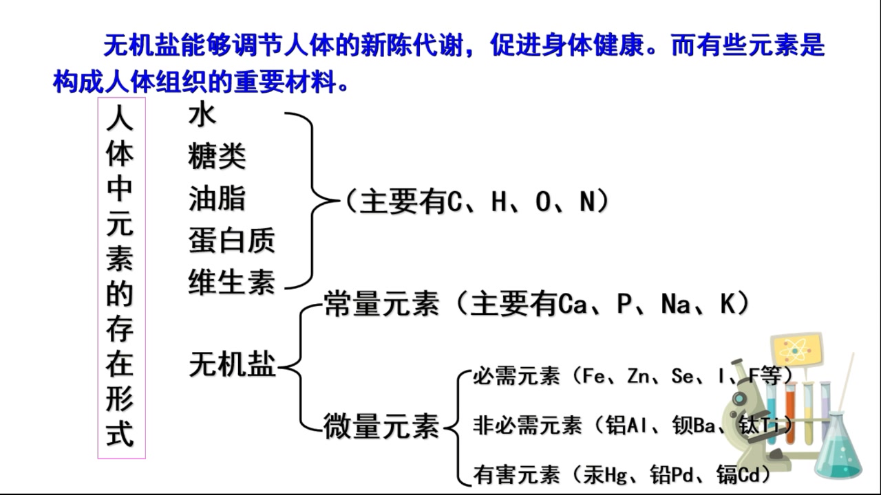 人体中的元素哔哩哔哩bilibili