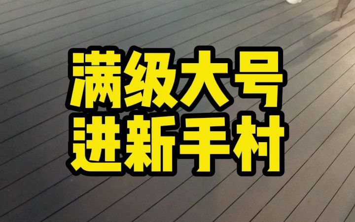 满级大号进新手村哔哩哔哩bilibili