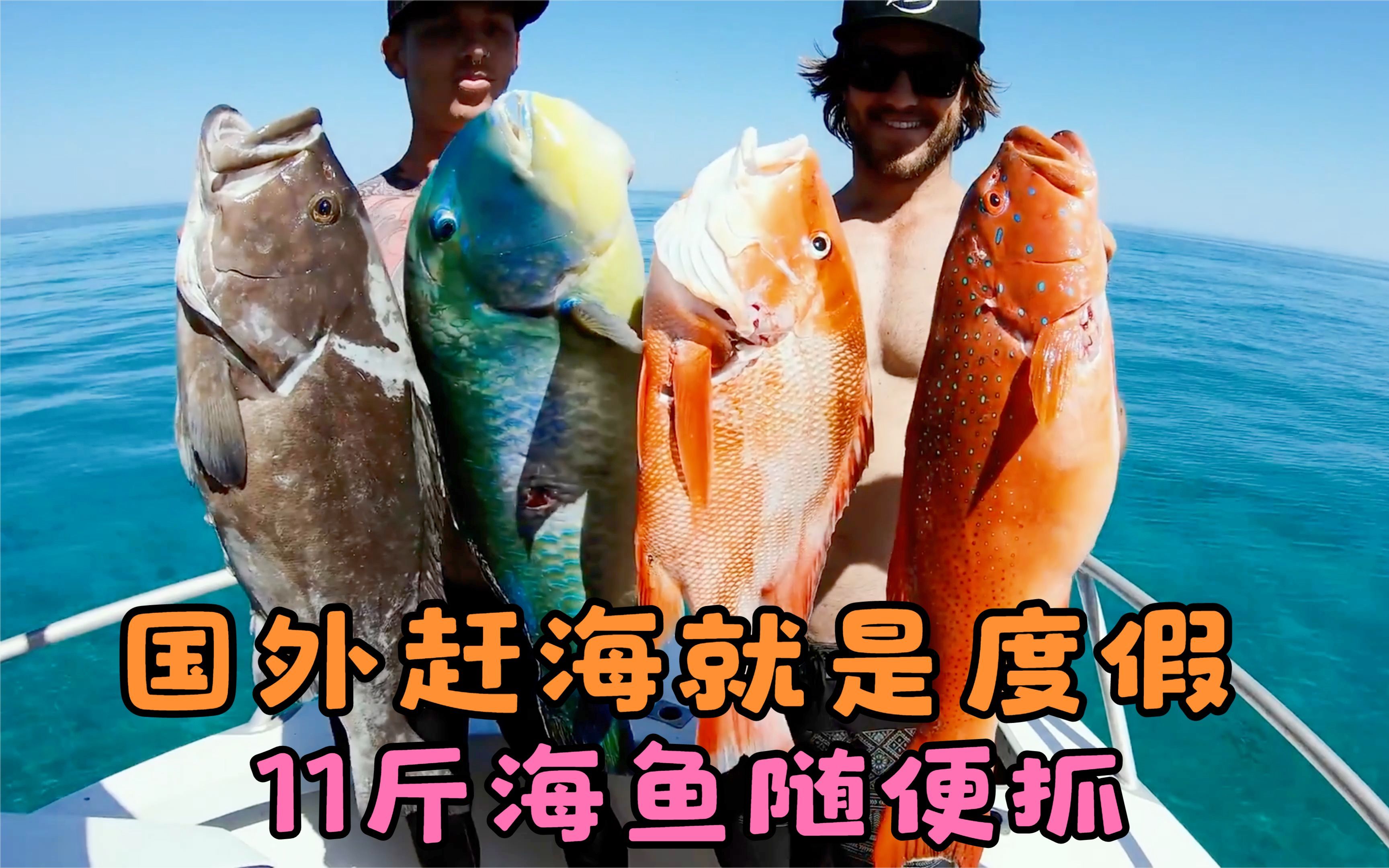 國外趕海:10斤重的海魚隨便抓,而且一條比一條大,太過癮了!