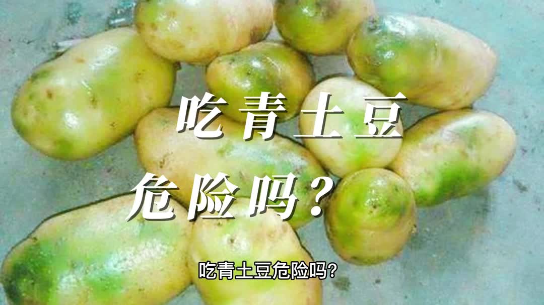 吃青土豆危险吗?哔哩哔哩bilibili