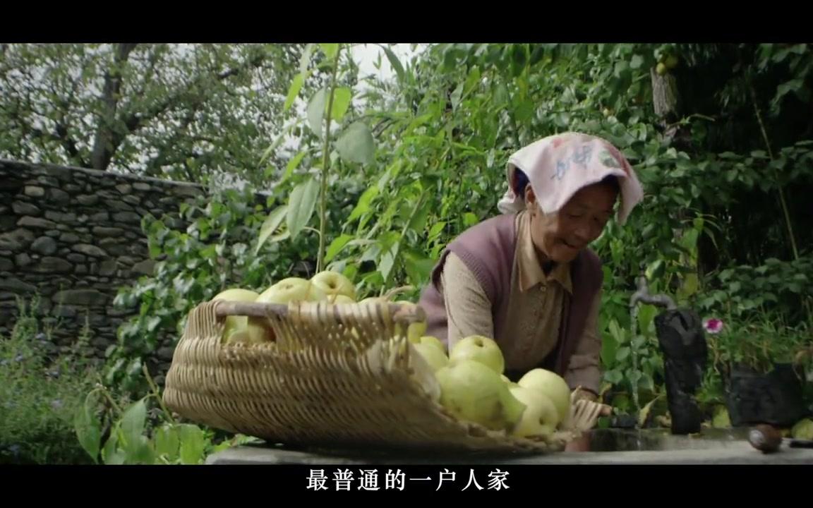 [图]《香巴拉深处》金川梨膏