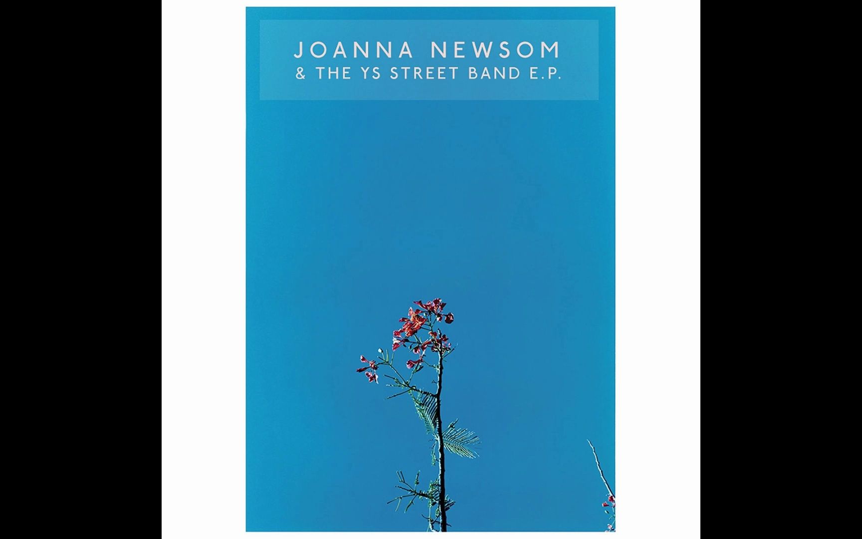 【美国室内民谣/前卫民谣】Joanna Newsom  oanna Newsom & The Ys Street Band E.P.哔哩哔哩bilibili