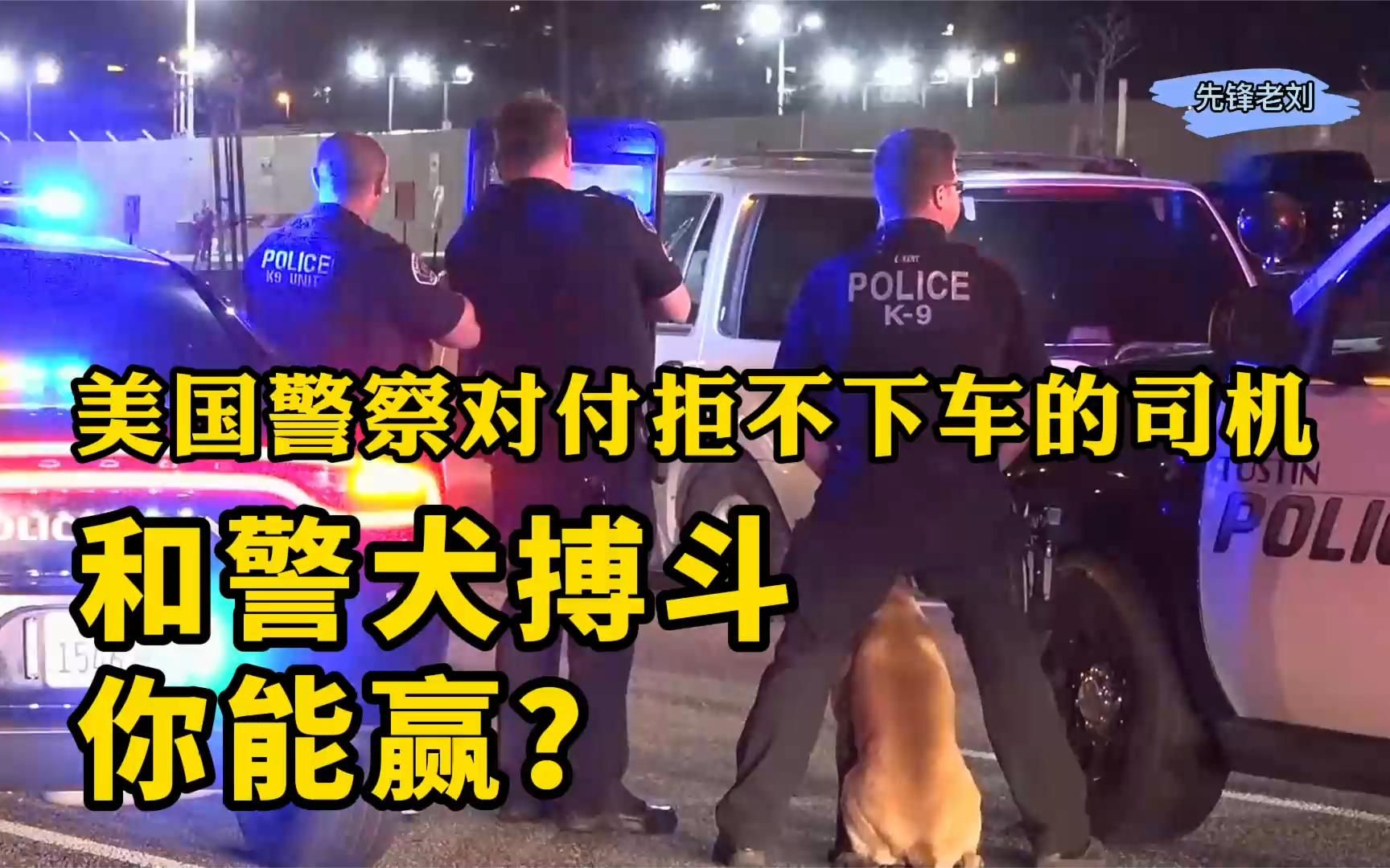 美国警察碎玻璃打催泪放警犬,拒不下车的小哥爬上车顶和警犬搏斗,搞笑的喜剧抓捕场面.先锋老刘讲美国警察故事哔哩哔哩bilibili