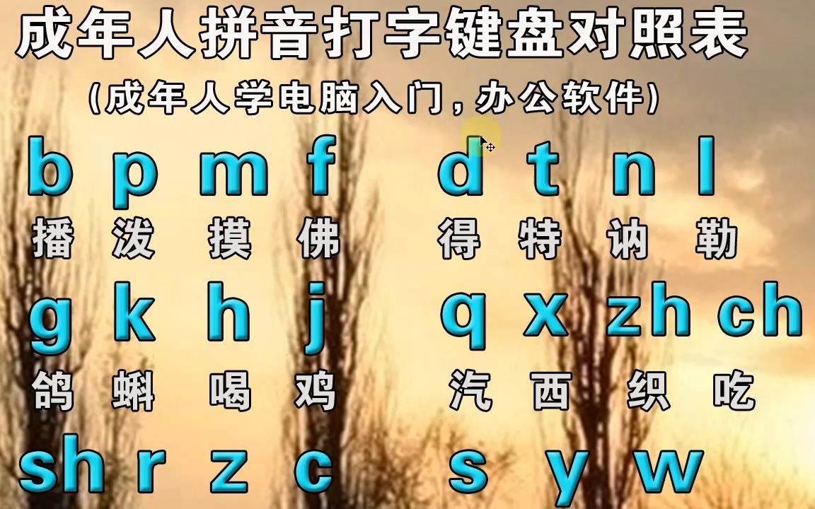 初學拼音打字視頻,零基礎入門學好拼音字母,電腦手機平板打字快