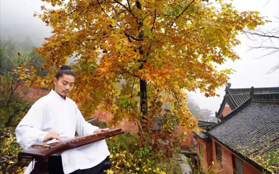 [图]【优酷搬运】武当玄武拳 画外讲解：杨师高 演练：夏师崇