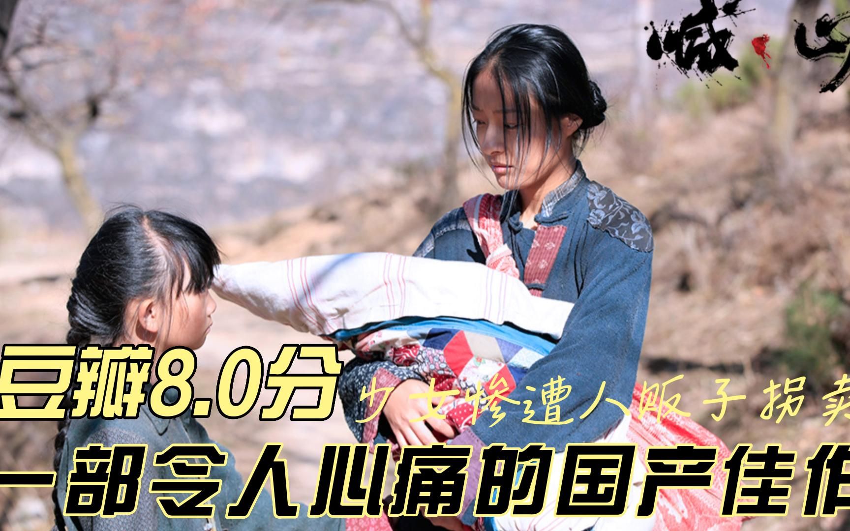 豆瓣80分少女惨遭人贩子拐卖一部令人心痛的国产佳作