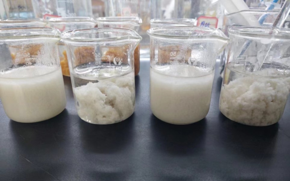 食品厂污水处理实验