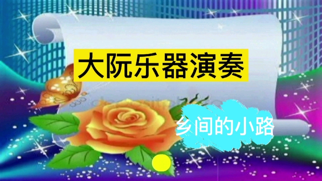 大阮乐器演奏《乡间的小路》哔哩哔哩bilibili