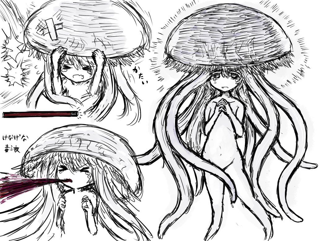 寿司勇者二月份推特内容整合