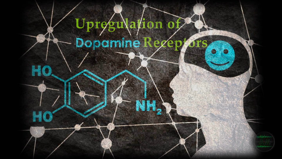 [图]Dopamine Detox