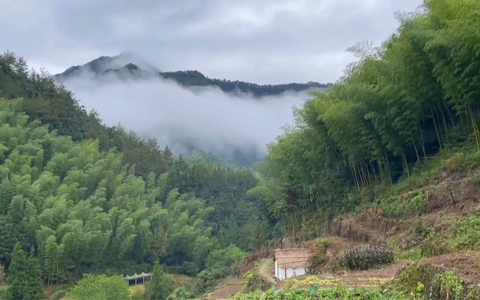 [图]浙江磐安榉溪古村|做一个孤独的散步者，在深山幽谷中，跟随着鸟的指引，看那风跳一支秋的舞曲。