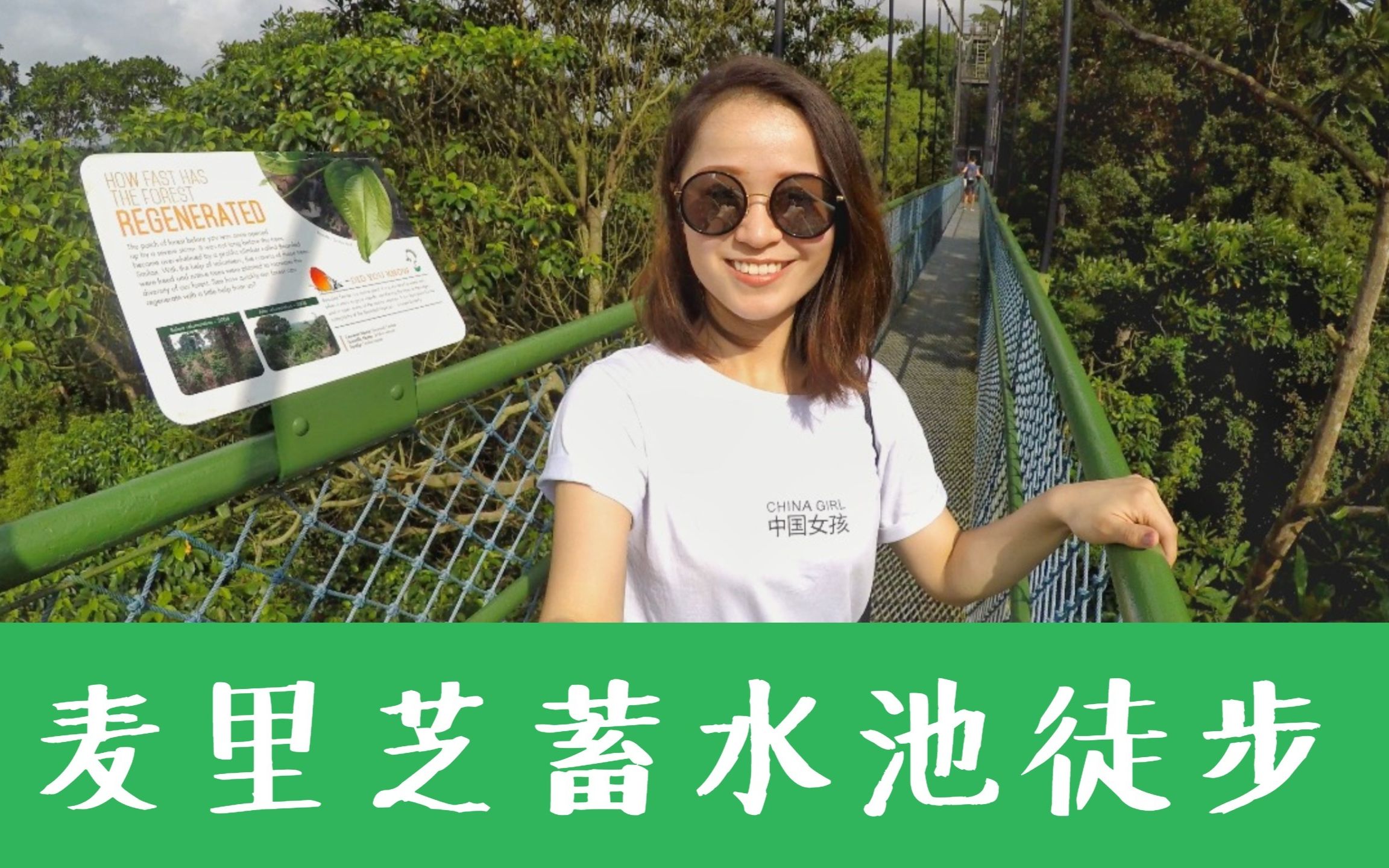 【新加坡】麦里芝水库徒步 | 新加坡周末好去处 | Treetop Trail | MacRitchie Reservoir哔哩哔哩bilibili