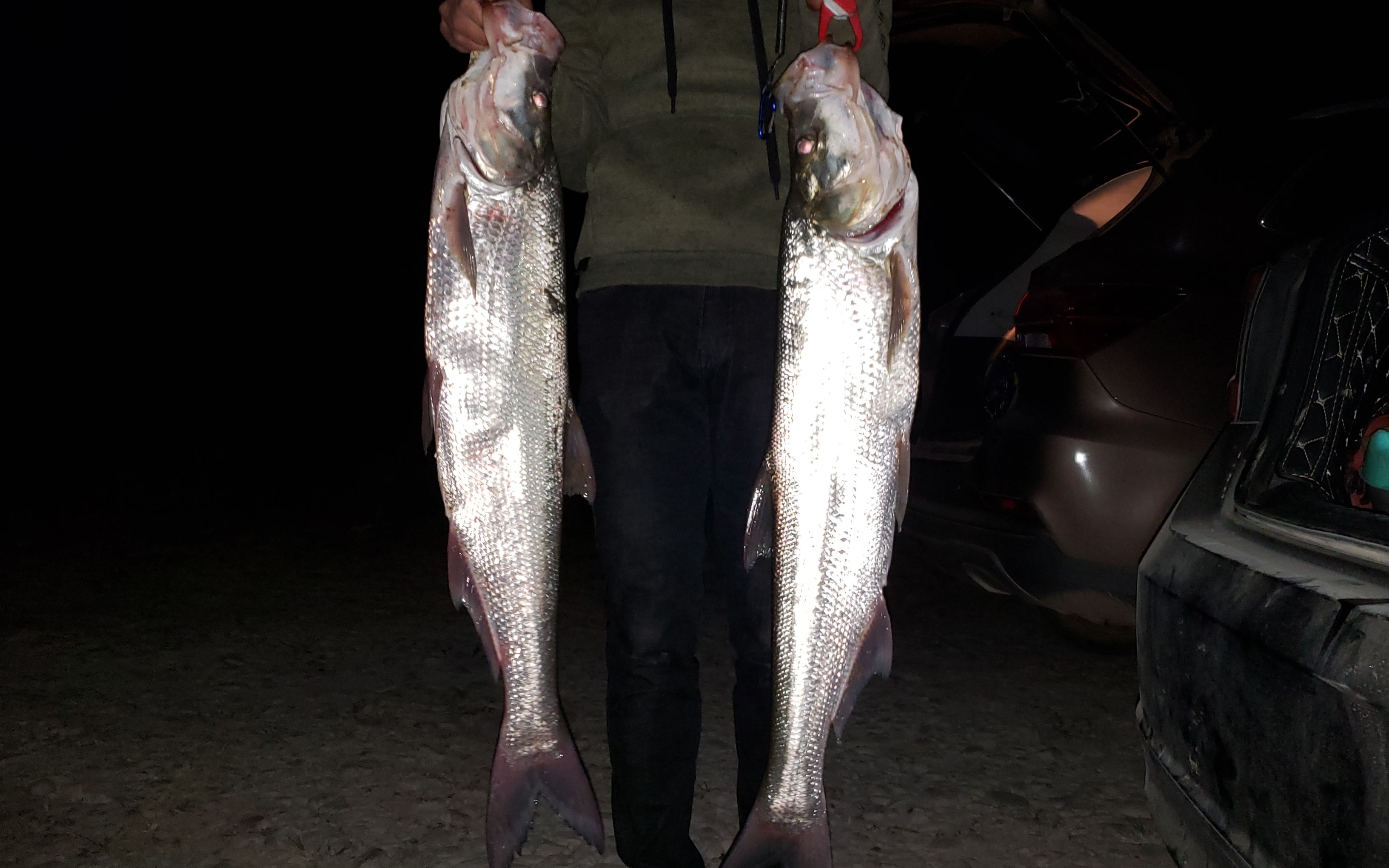 翘嘴冬季藏在哪里路亚小哥夜钓米翘连杆