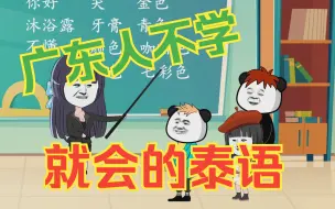 Tải video: 广东人不学就会的泰语！爆笑！