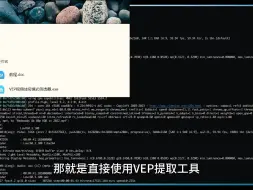 Download Video: 怎么破解vep一机一码？vep怎么转换成mp4的形式？