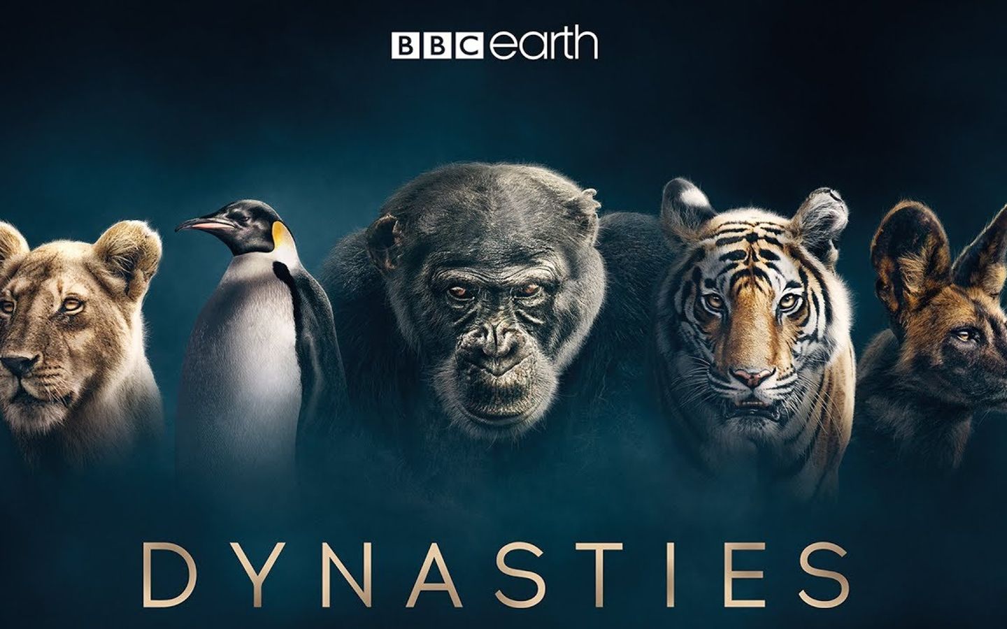 [图]#预告 王朝 Dynasties (2018)