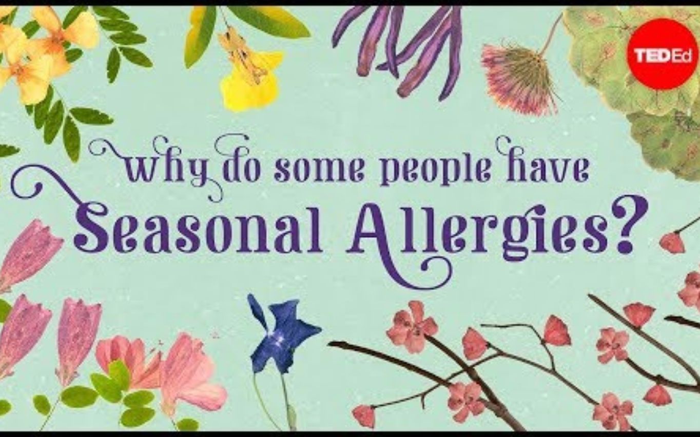 【TedED】为什么有的人会季节性过敏 Why Do People Have Seasonal Allergies哔哩哔哩bilibili