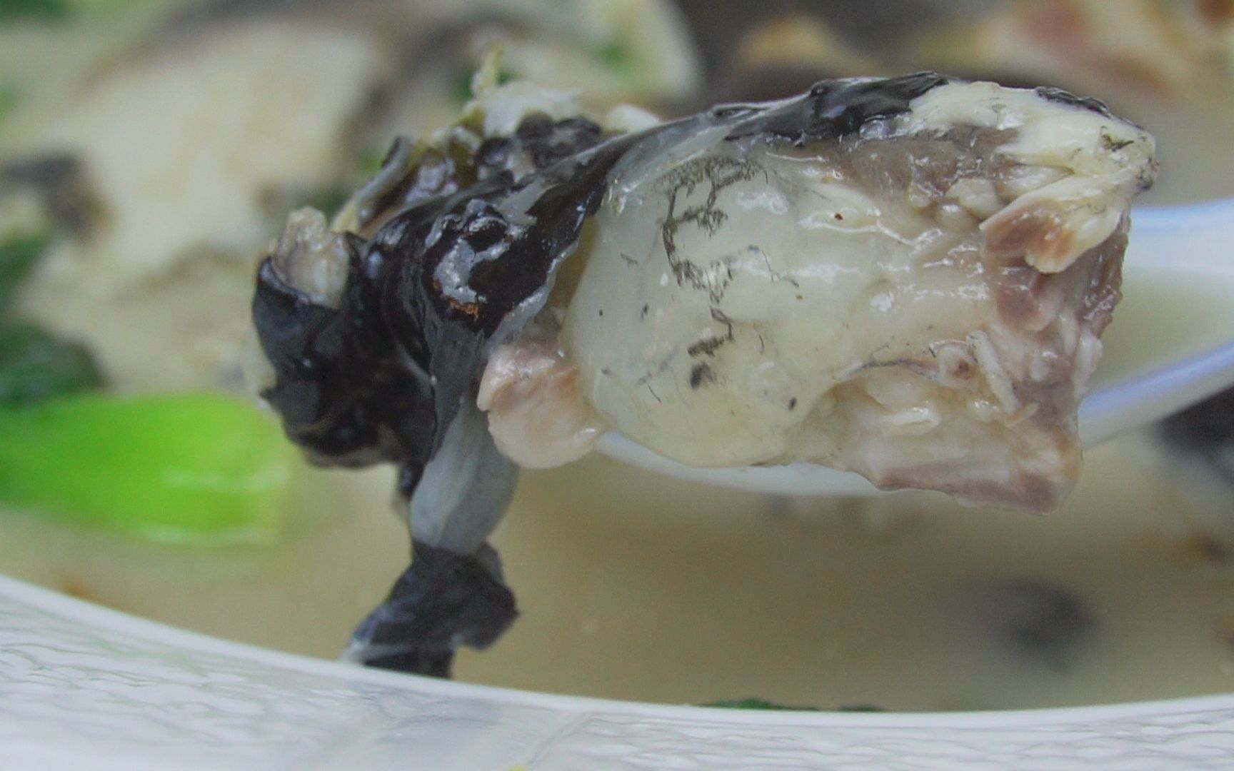 扬州三头宴,拆烩鲢鱼头,汤鲜味浓,吃鱼不用吐骨头,不愧是淮扬名菜