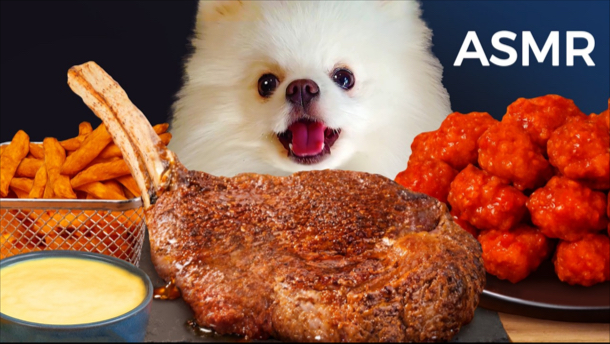 【ASMR】博美犬吃播！吃美味的牛排！