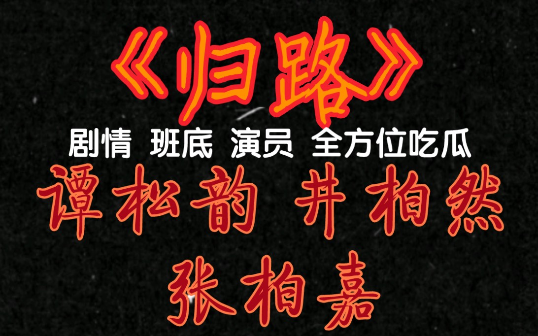 [图]《归路》剧情 班底 演员 全方位吃瓜 谭松韵 井柏然 张柏嘉