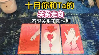 下载视频: 【娇娇tarot】十月你和Ta的关系走向？不限关系不限性别