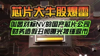 Download Video: 叫嚣对标NVIDIA的国产芯片公司退市！财务造假丑闻曝光 300亿市值只剩7亿：户均亏39万！